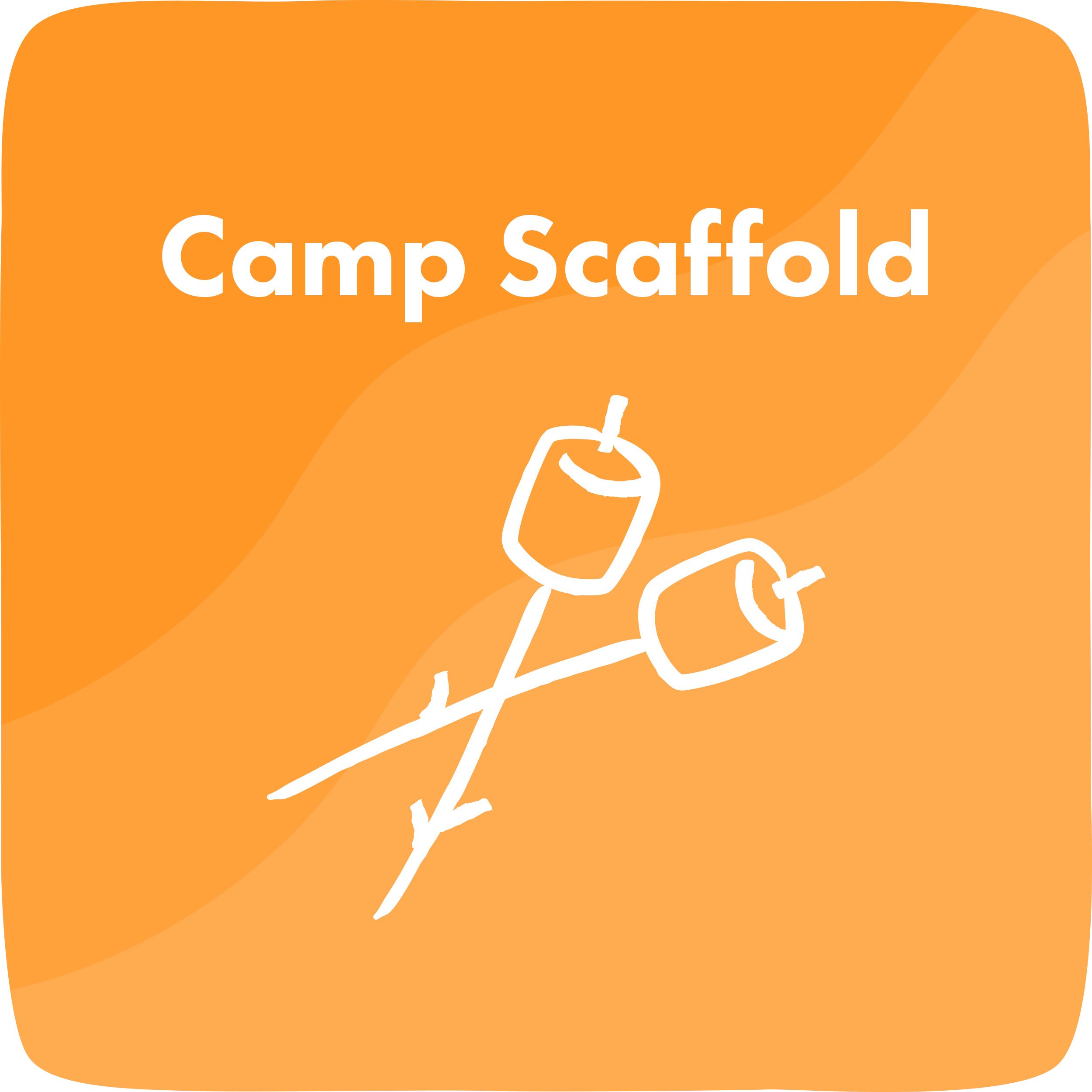 Camp Scaffold