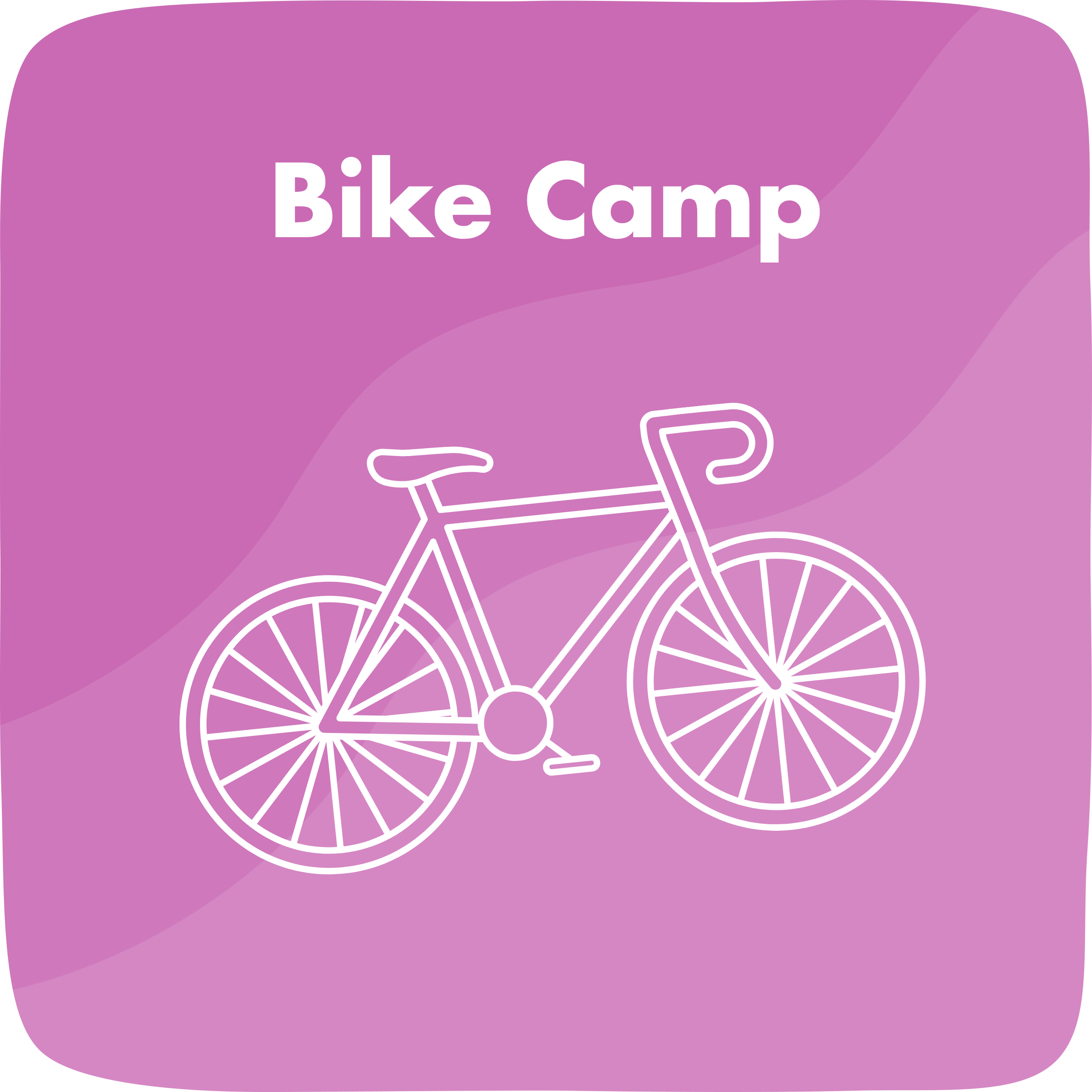 Bike Learning Camp