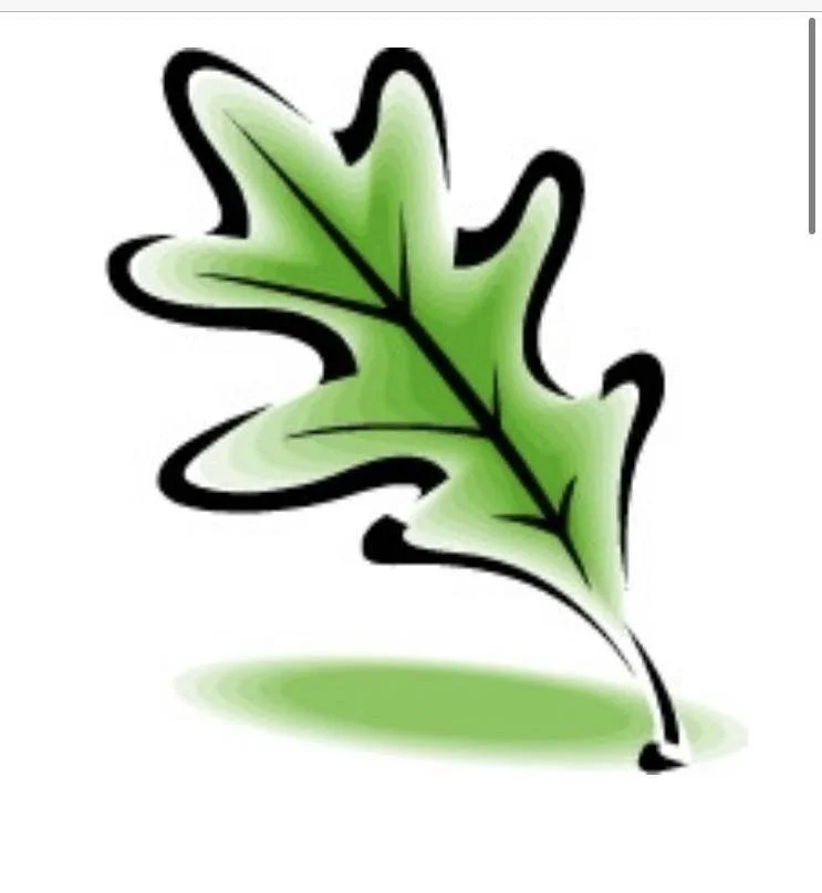 Green leaf with black outline and light green shading, casting a shadow on white background. The Conservationist Logo