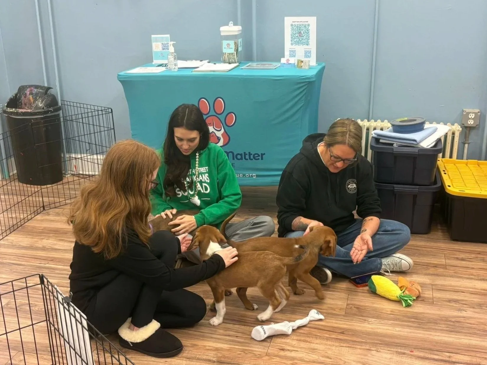 Three women sitting on the floor with two puppies, one of which is being groomed or examined. Behind them is a blue table with a paw print logo, informational materials, and a sign about pet adoption. The setting appears to be an event or shelter for animals.