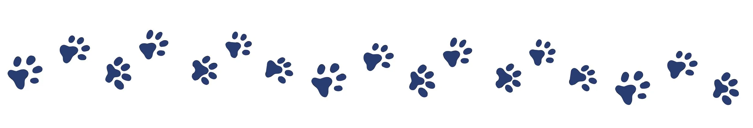 Multiple navy blue paw prints arranged in a scattered line on a white background.