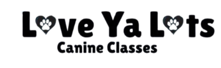 Logo for Love Ya Lots Canine Classes with hearts in the letter 'o' of 'Love' and 'Lots' featuring paw prints inside the hearts.