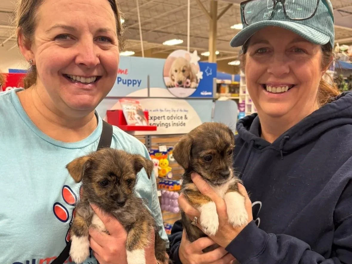 Two women smiling, each holding a small brown and white puppy inside a pet store, with colorful pet products in the background.