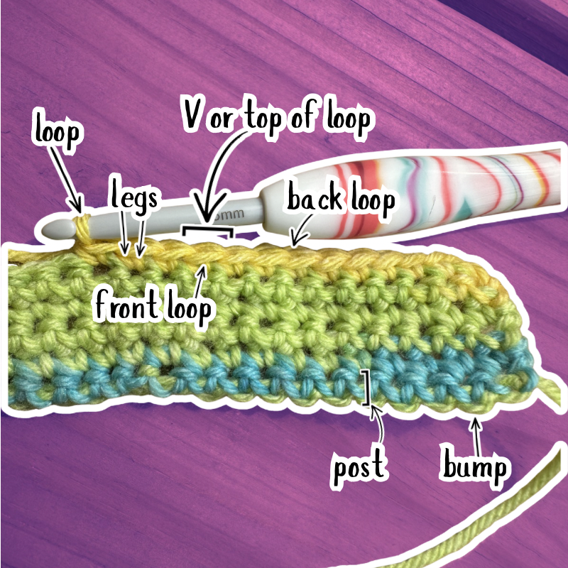Illustration showing crochet work with an overlay of the parts of a stitch, including the loop, legs, V, back loop, front loop, post, and bump.