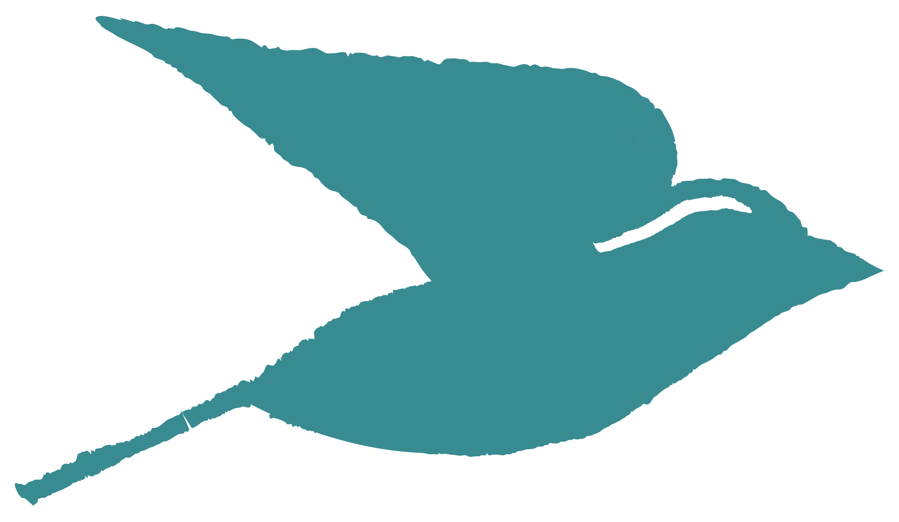 A stylized teal dolphin jumping to the right with a black eye, on a transparent background.