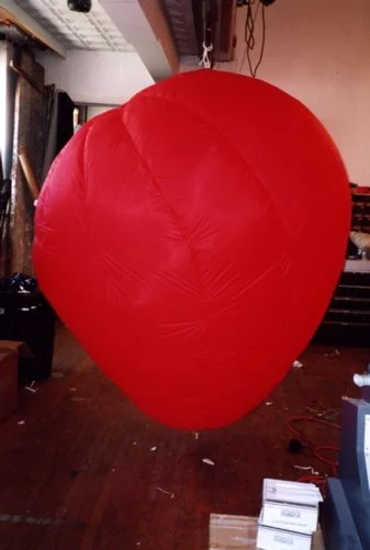 inflatable-dinosaur-heart.jpg