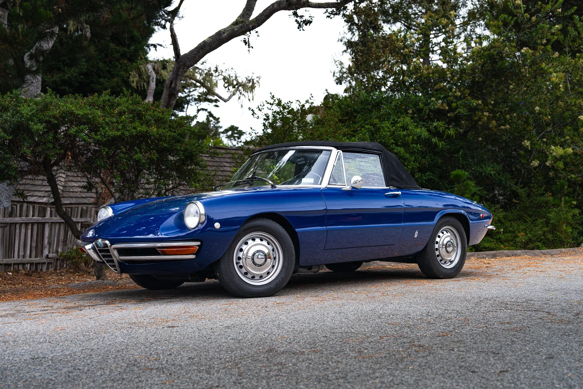 car week-9.jpg