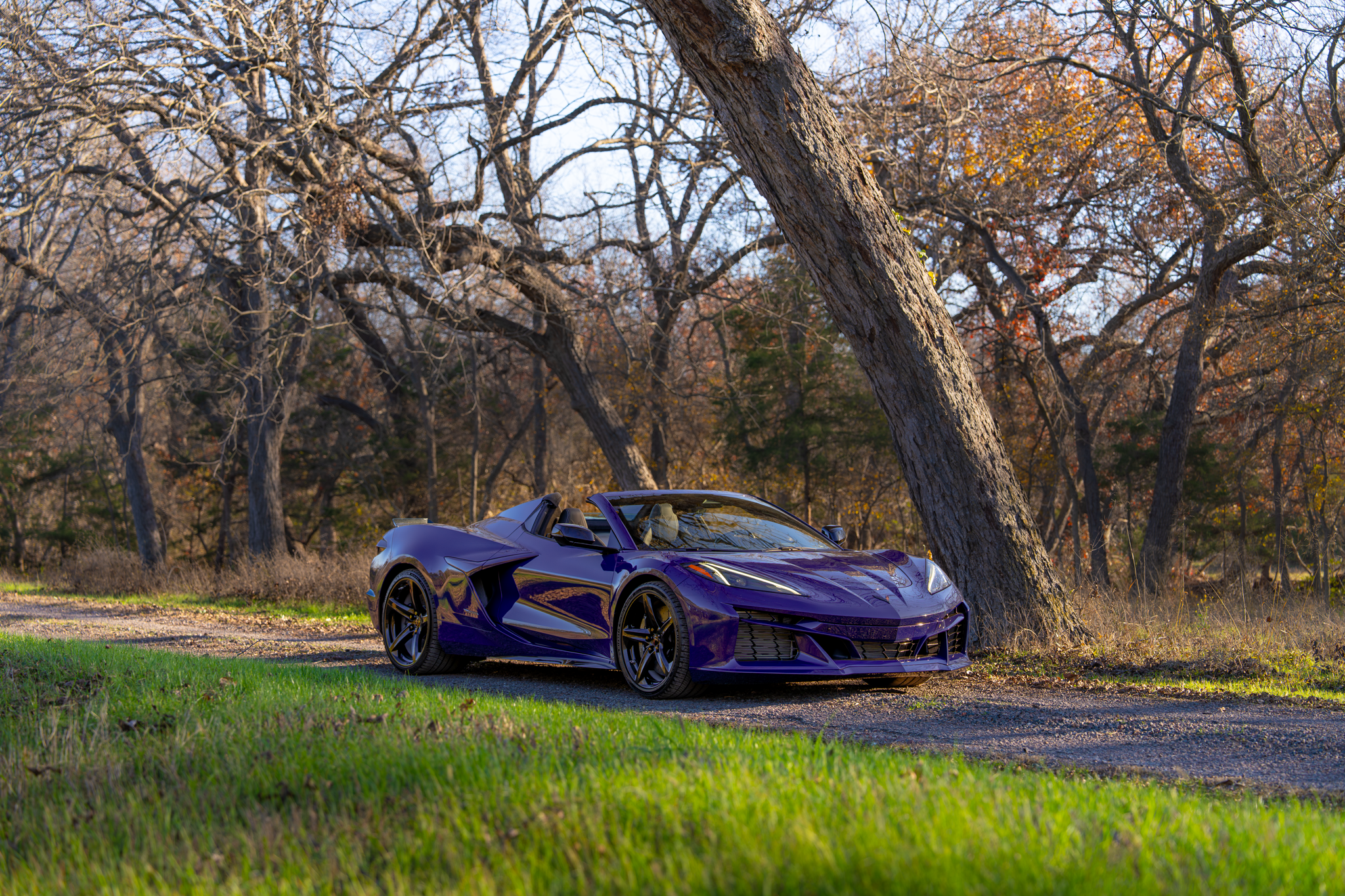 A purple convertible sports car parked on a dirt path in a wooded area with leafless trees and grass, during autumn.
