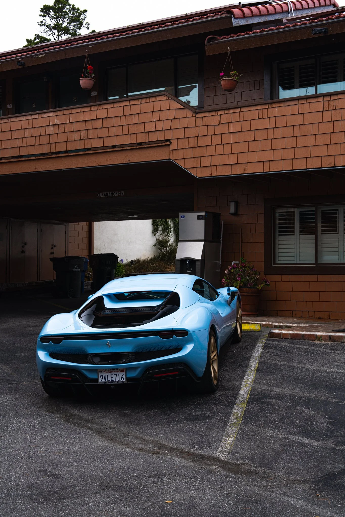 car week-7.jpg
