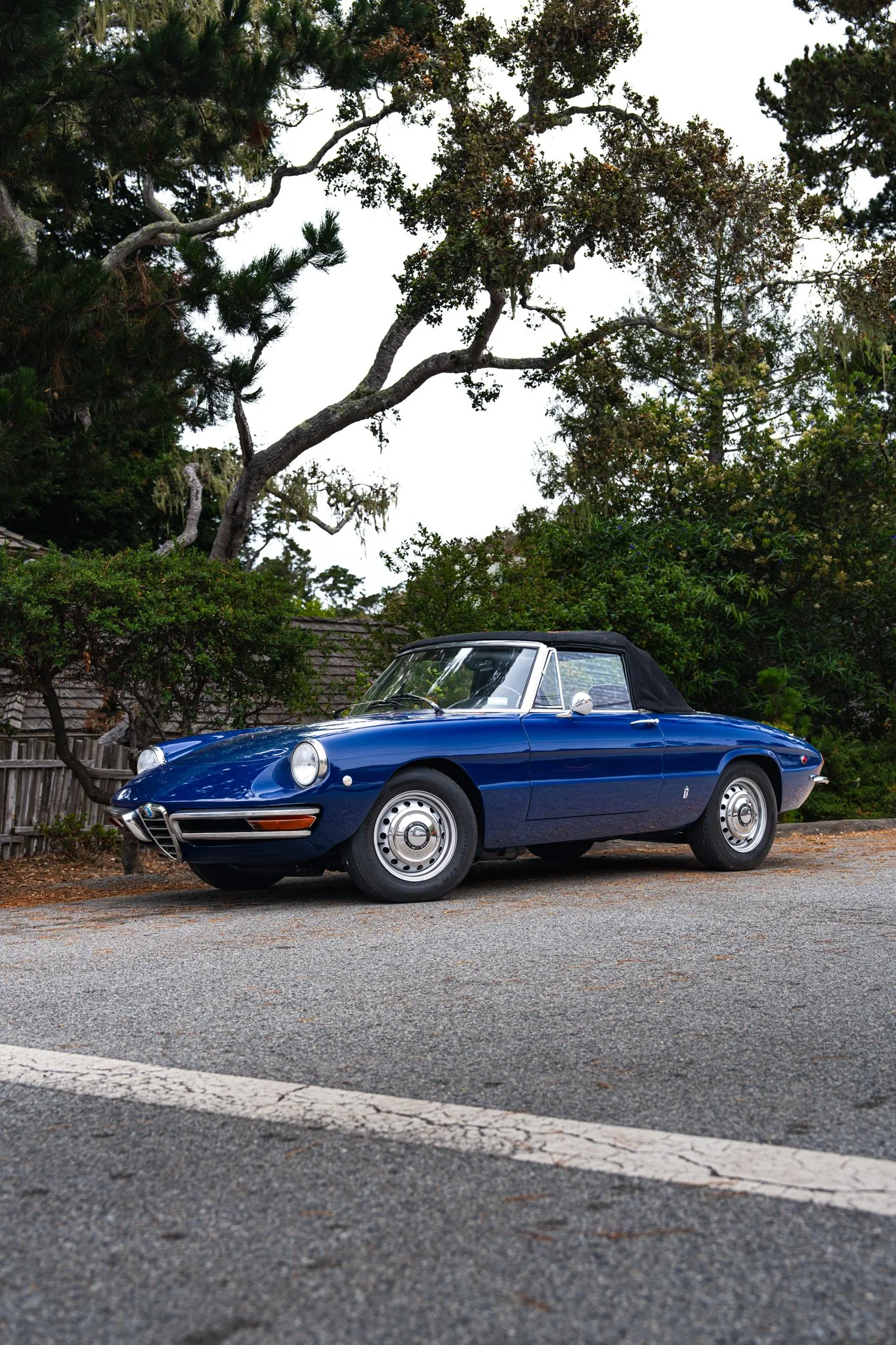 car week-10.jpg