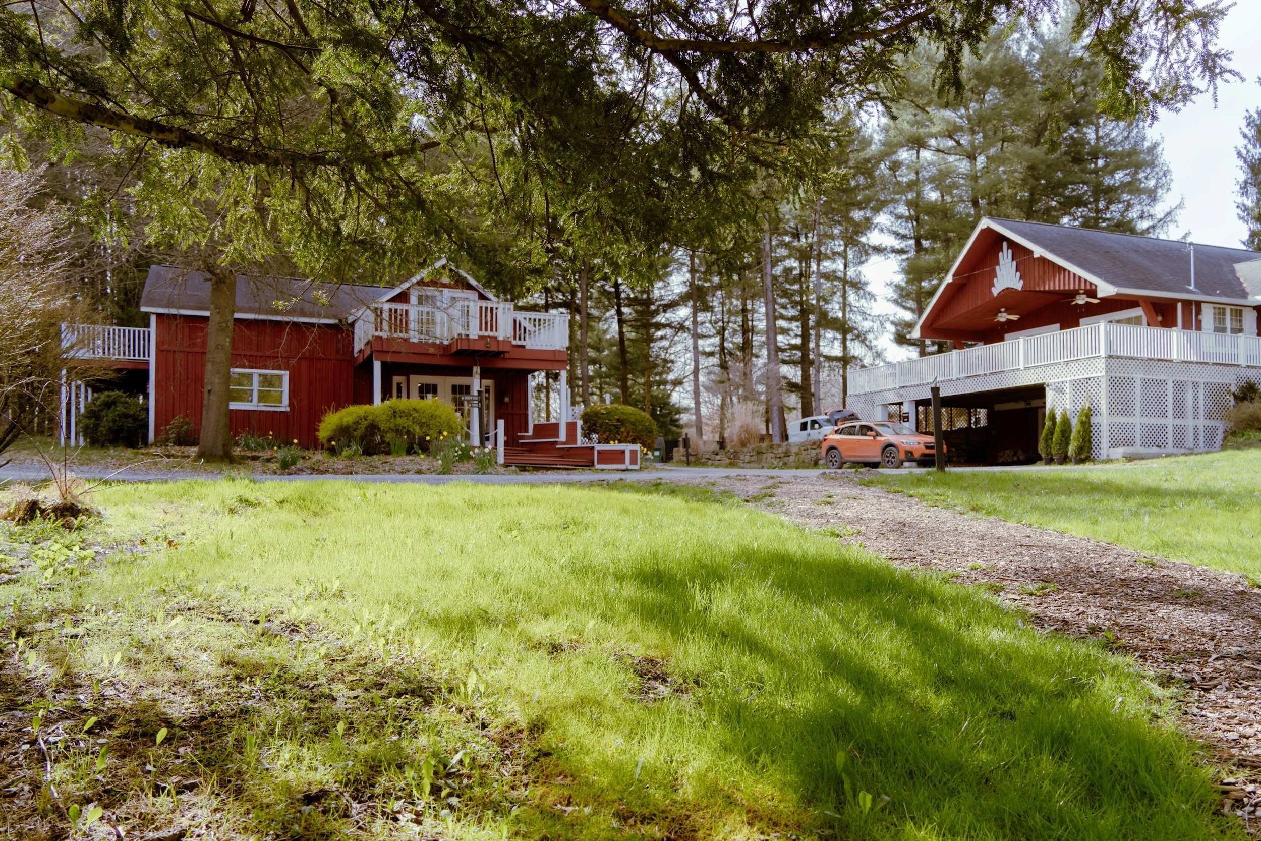 A backyard scene with two red houses on stilts, surrounded by trees and greenery, with cars parked underneath one of the houses, and a grassy area in the foreground.