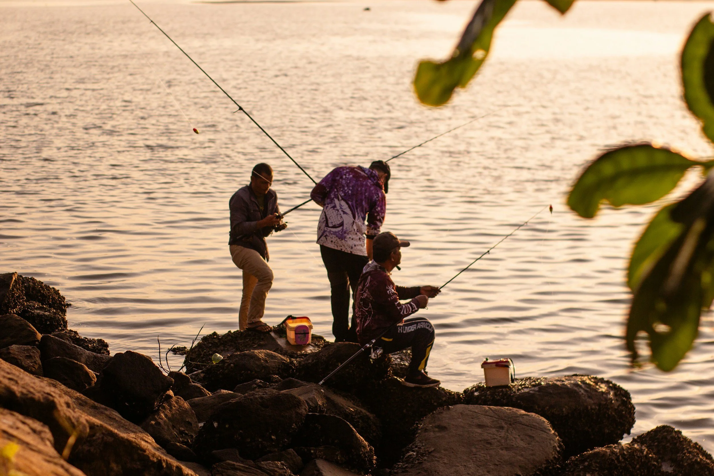 Four people fishing on rocks by a body of water during sunset.