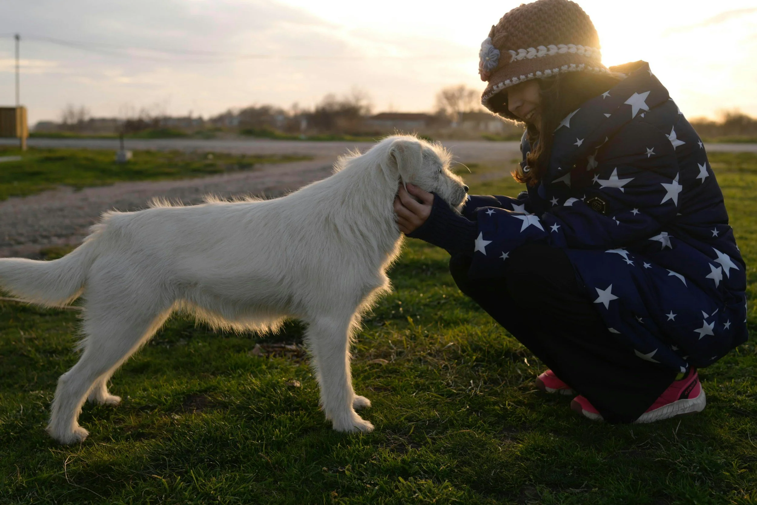 A young girl wearing a star-spangled jacket and a knitted hat with flowers is kneeling down and petting a white dog in an outdoor park during sunset.