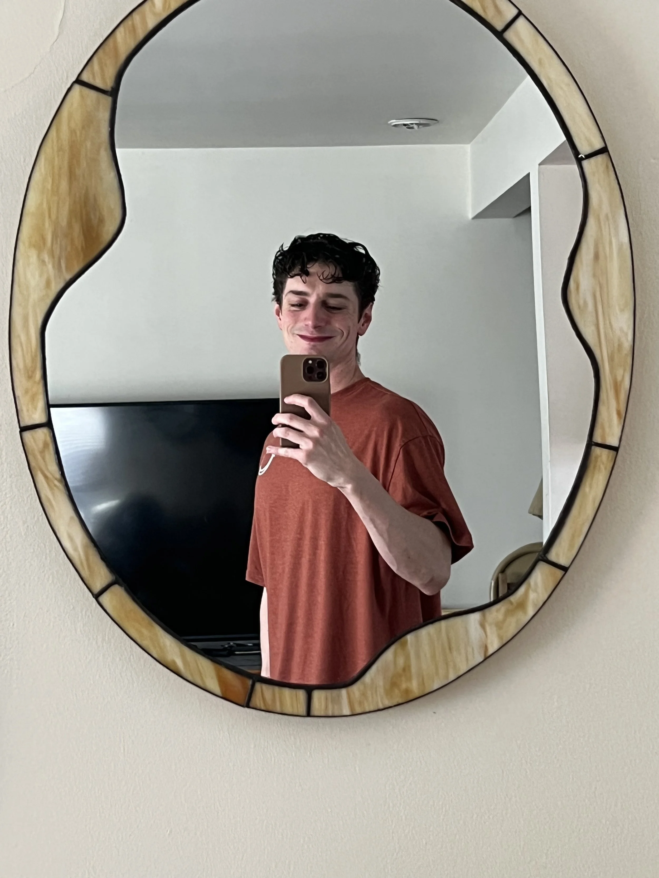 Young man with curly dark hair taking a selfie in a decorative oval mirror with a wooden frame, wearing a rust-colored T-shirt, smiling, with a black television and a beige chair in the background.
