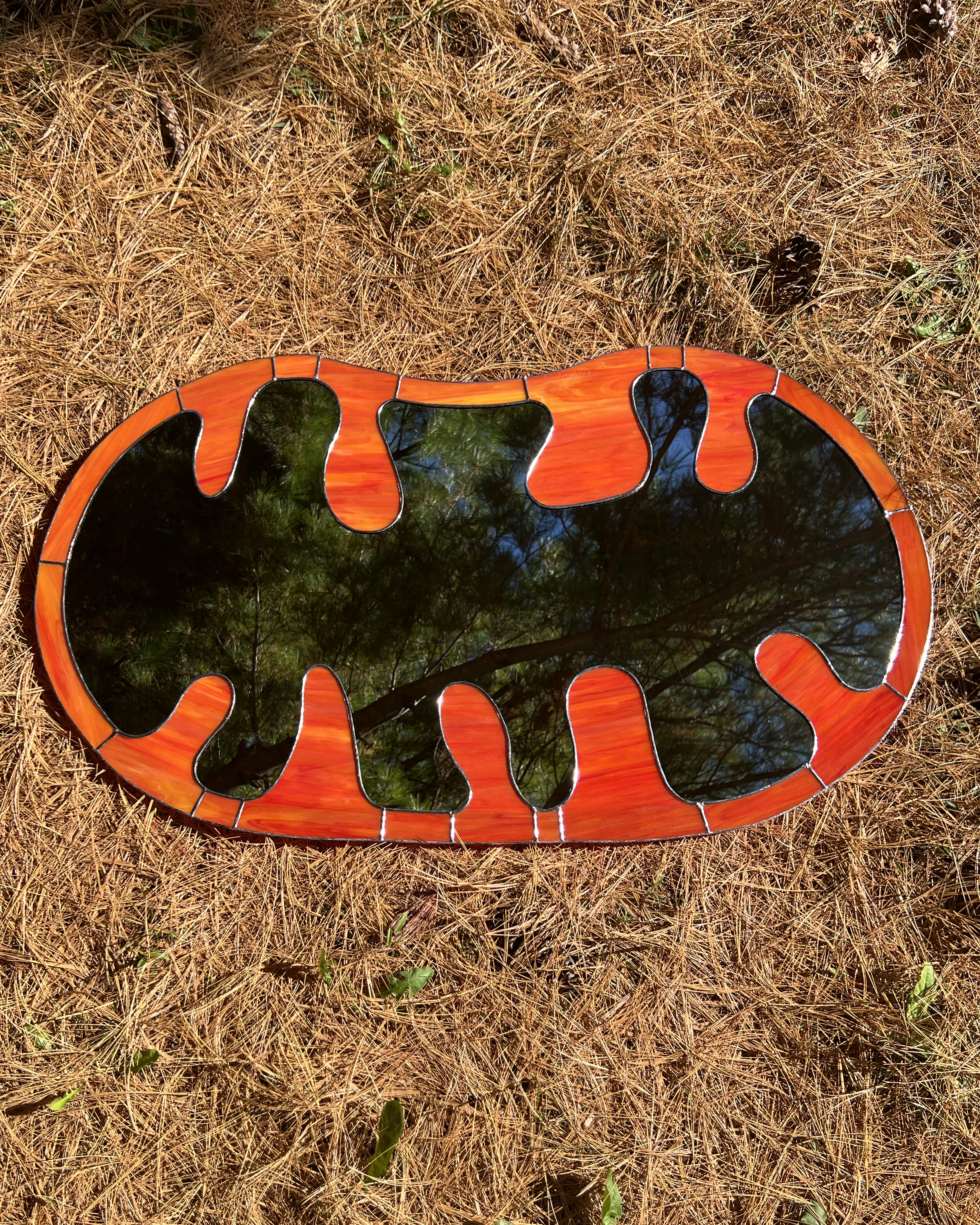 Mitochodria horizontal V4.png
