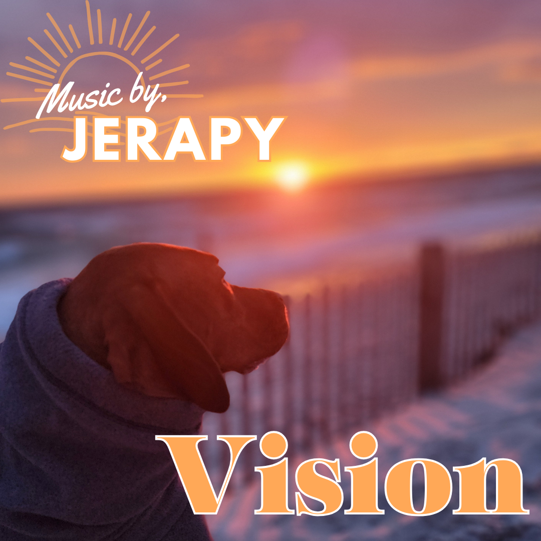 Vision (August 2024)