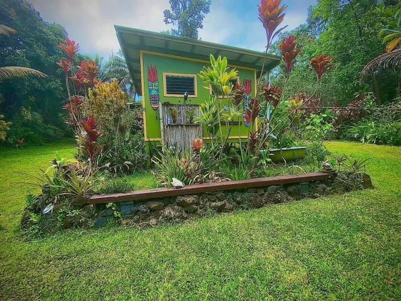 Small painted wooden cabin surrounded by tropical plants and grass