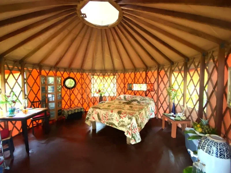 Interior of a circular yurt with a bed covered in floral bedding, surrounded by a table, plants, and decorative items.