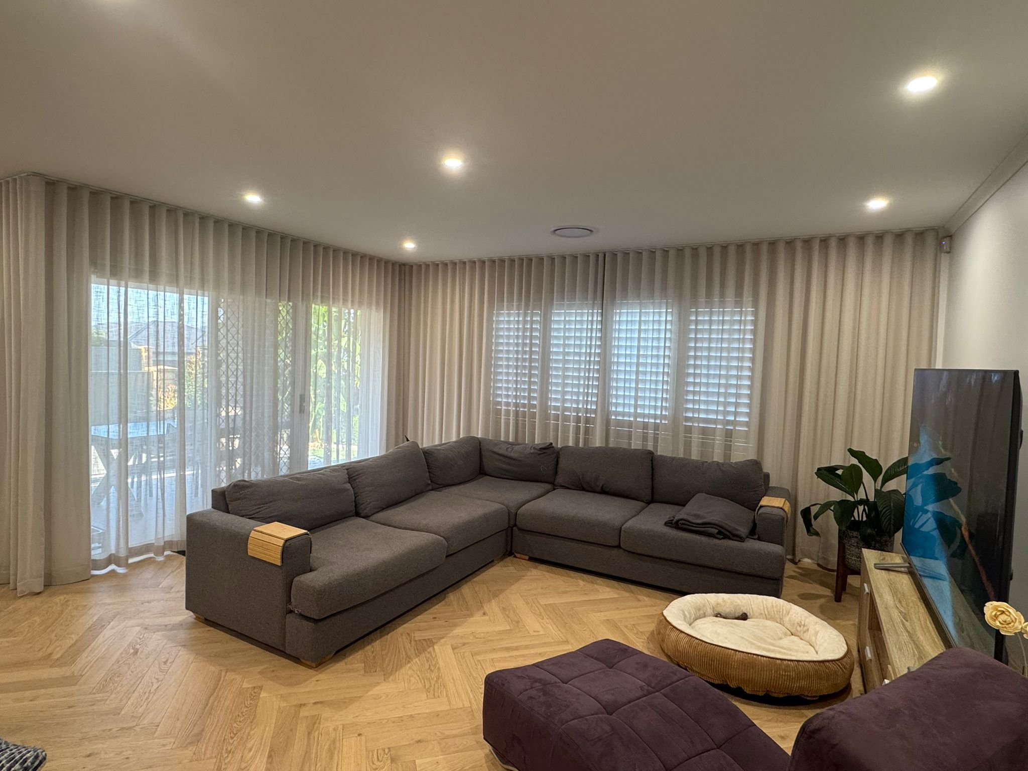 Living room with gray sectional sofa, wooden floor, large windows with sheer curtains, a potted plant, and a television on a stand.