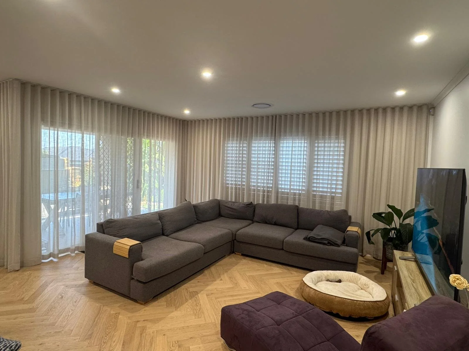 Living room with gray sectional sofa, large flat-screen TV, potted plant, and white curtains covering windows, with wood flooring.