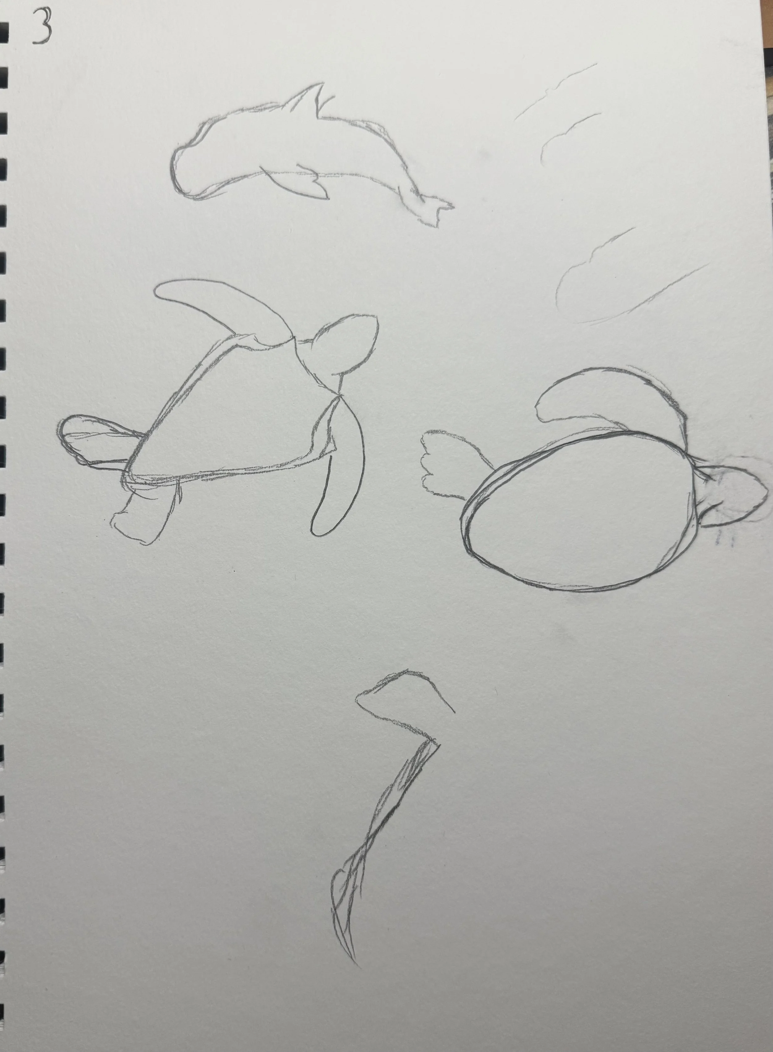Young_T_Sketch_Files_Page_12_Image_0001.jpg