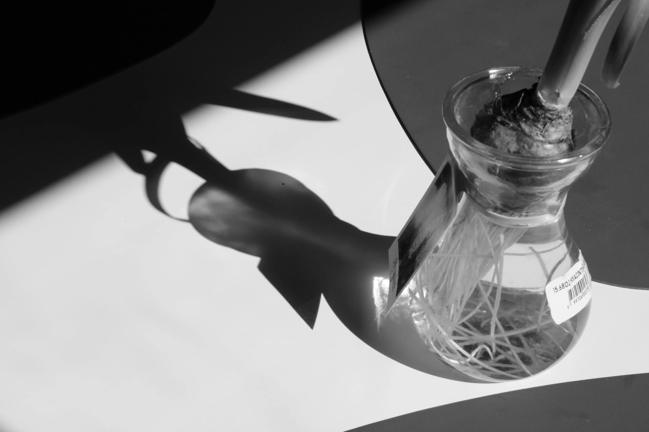 Reflective Positives and Negatives Series. 2025, Digital Photograph, 7” x 10” 