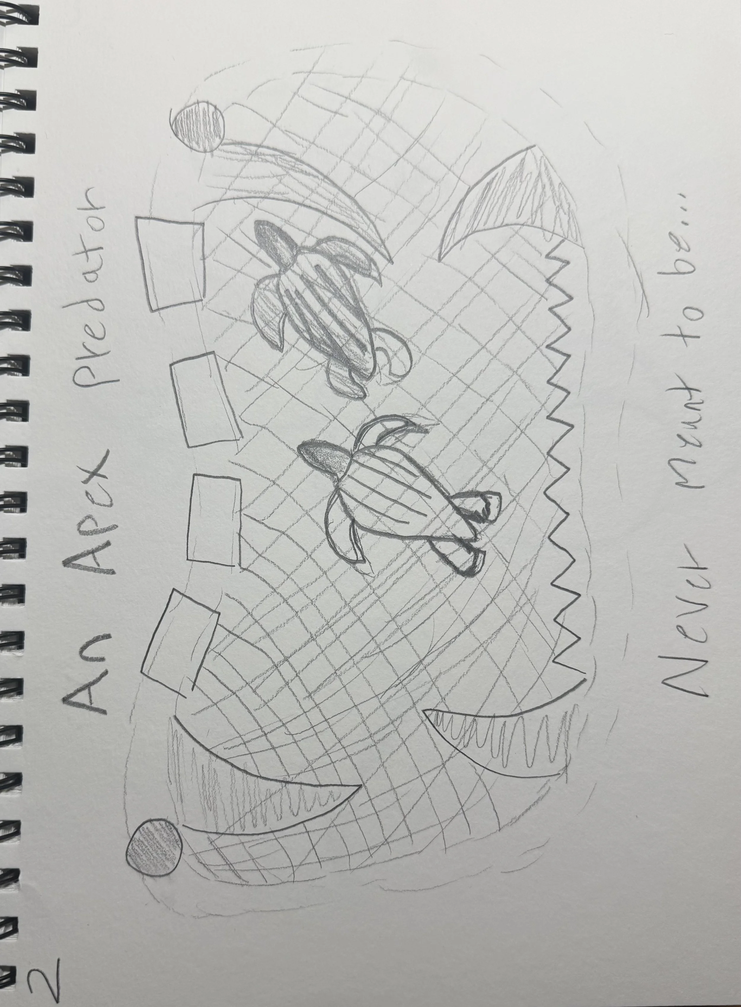 Young_T_Sketch_Files_Page_11_Image_0001.jpg