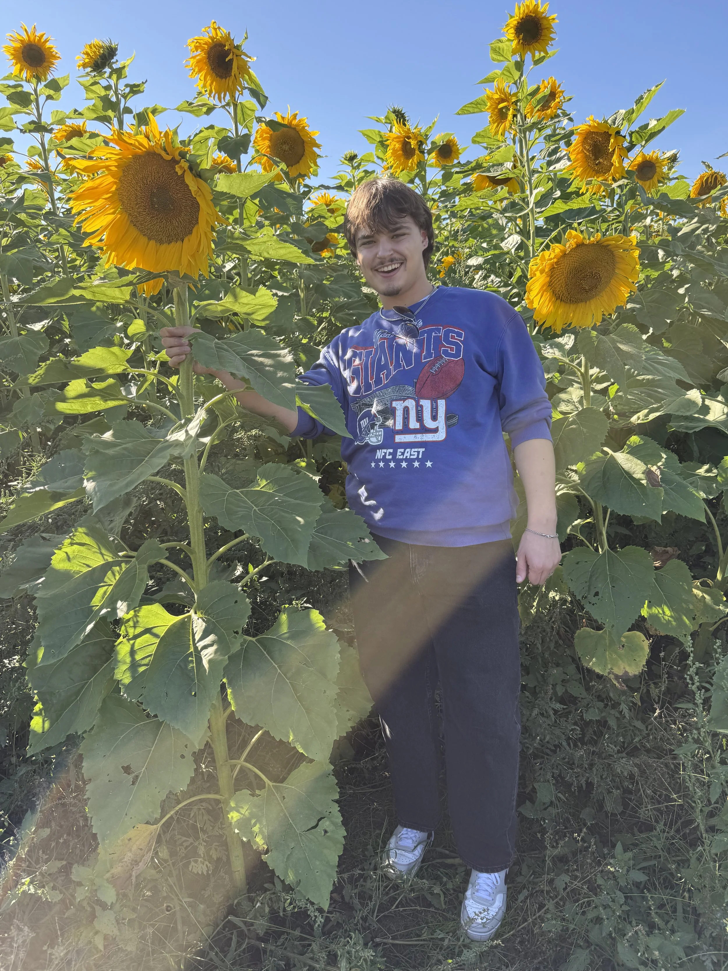 Owner of the site wearing blue standing next to a garden of sunflowers