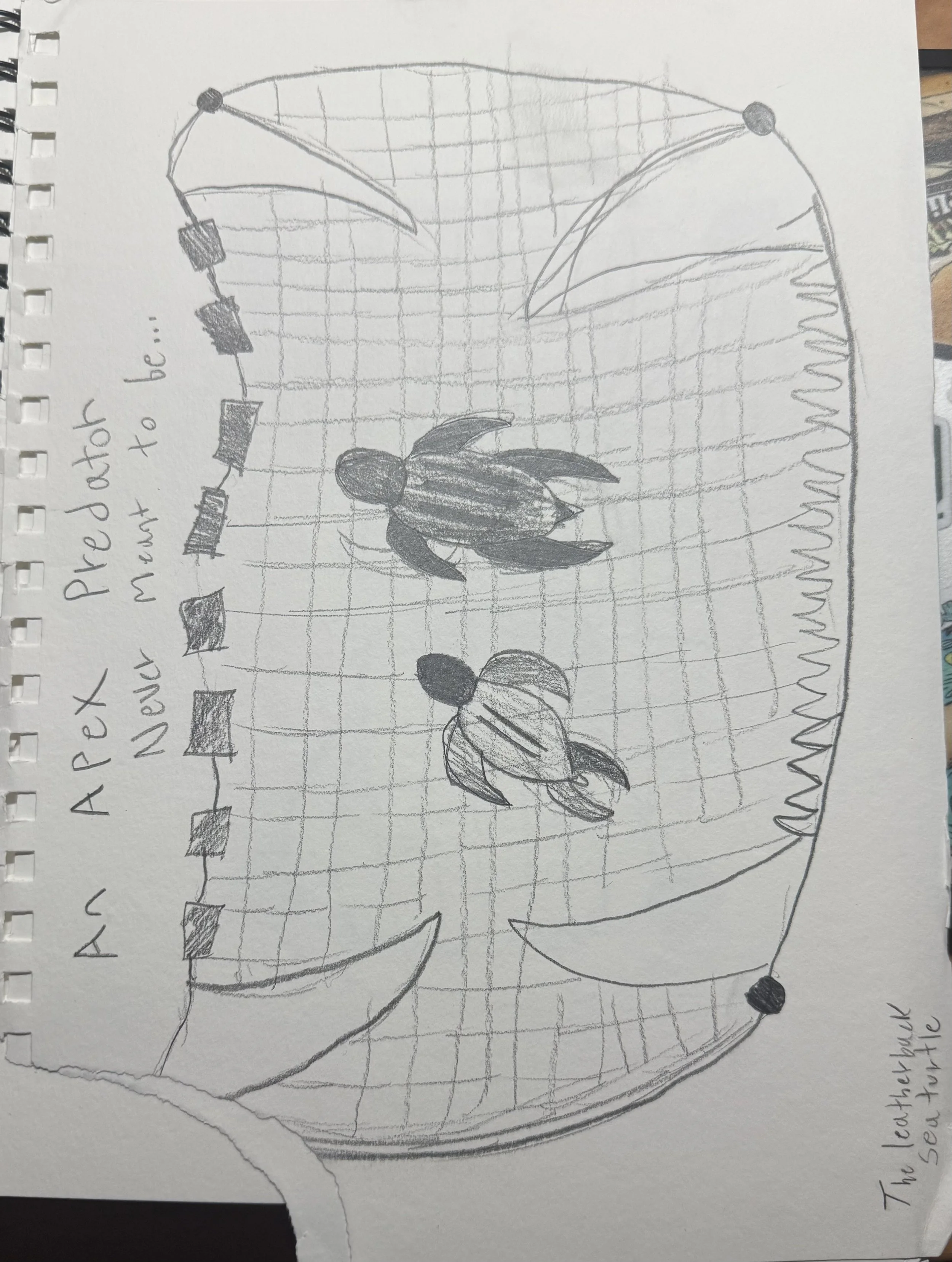 Young_T_Sketch_Files_Page_09_Image_0001.jpg