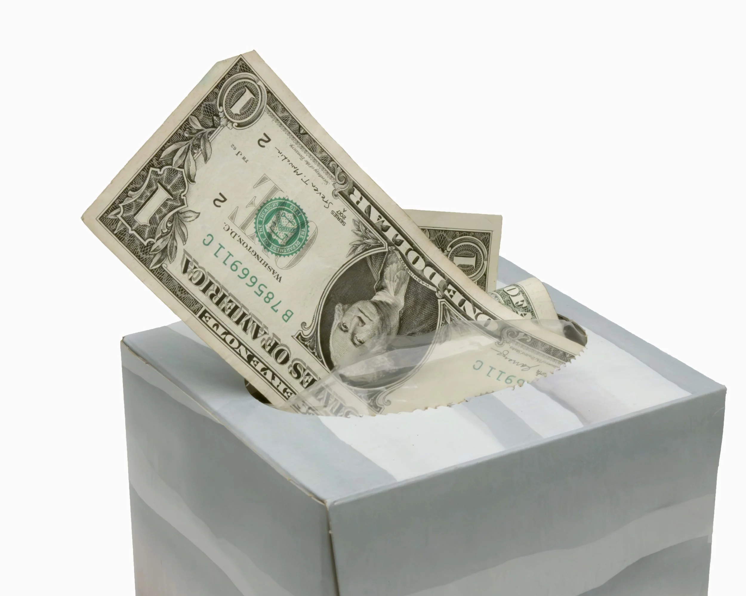 Healthy Dollar. 2025, Digital Photograph, 16” x 20”