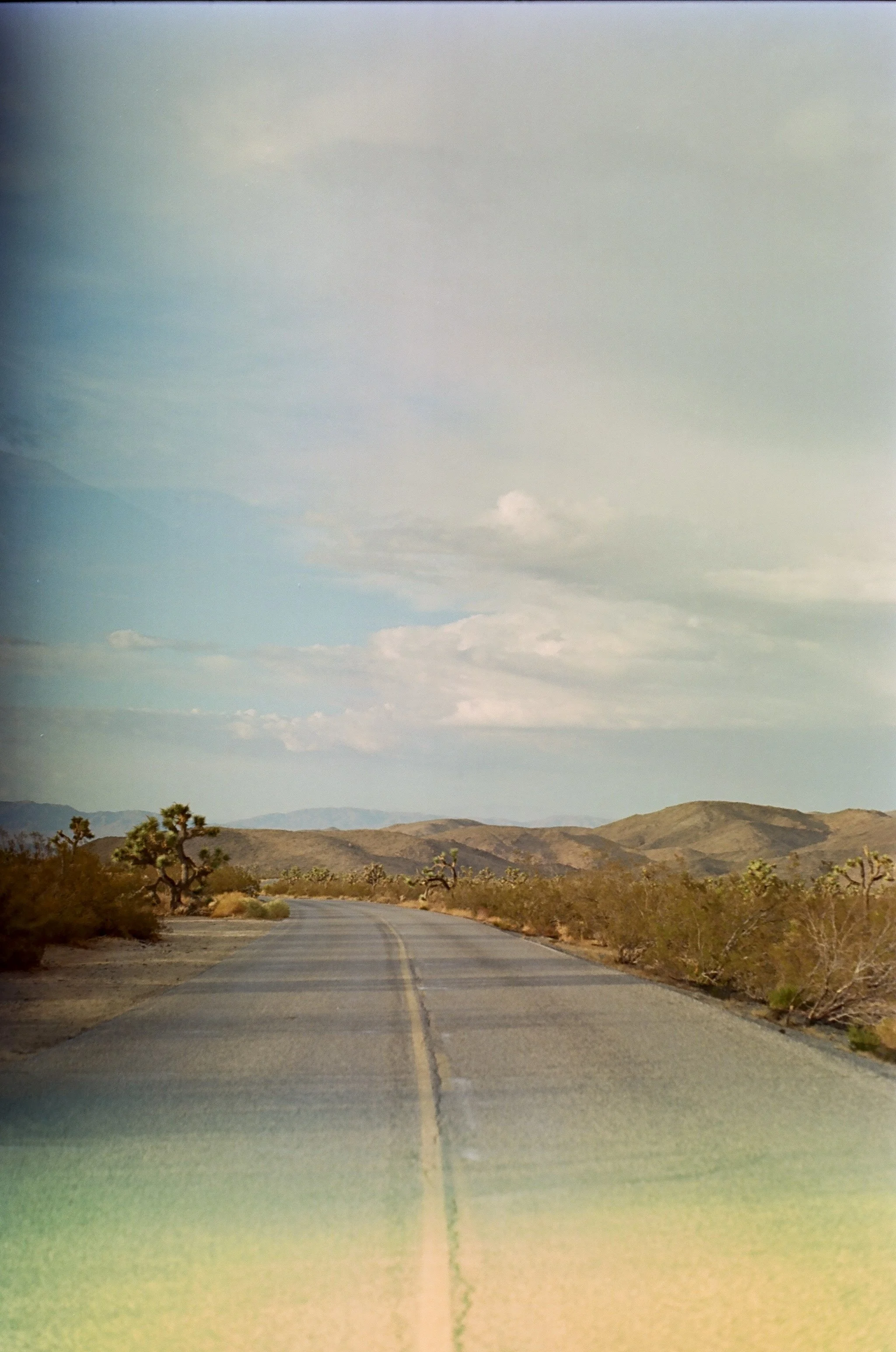 A desert landscape with a road stretching into the distance, flanked by sparse bushes and trees, with mountains and a partly cloudy sky in the background.