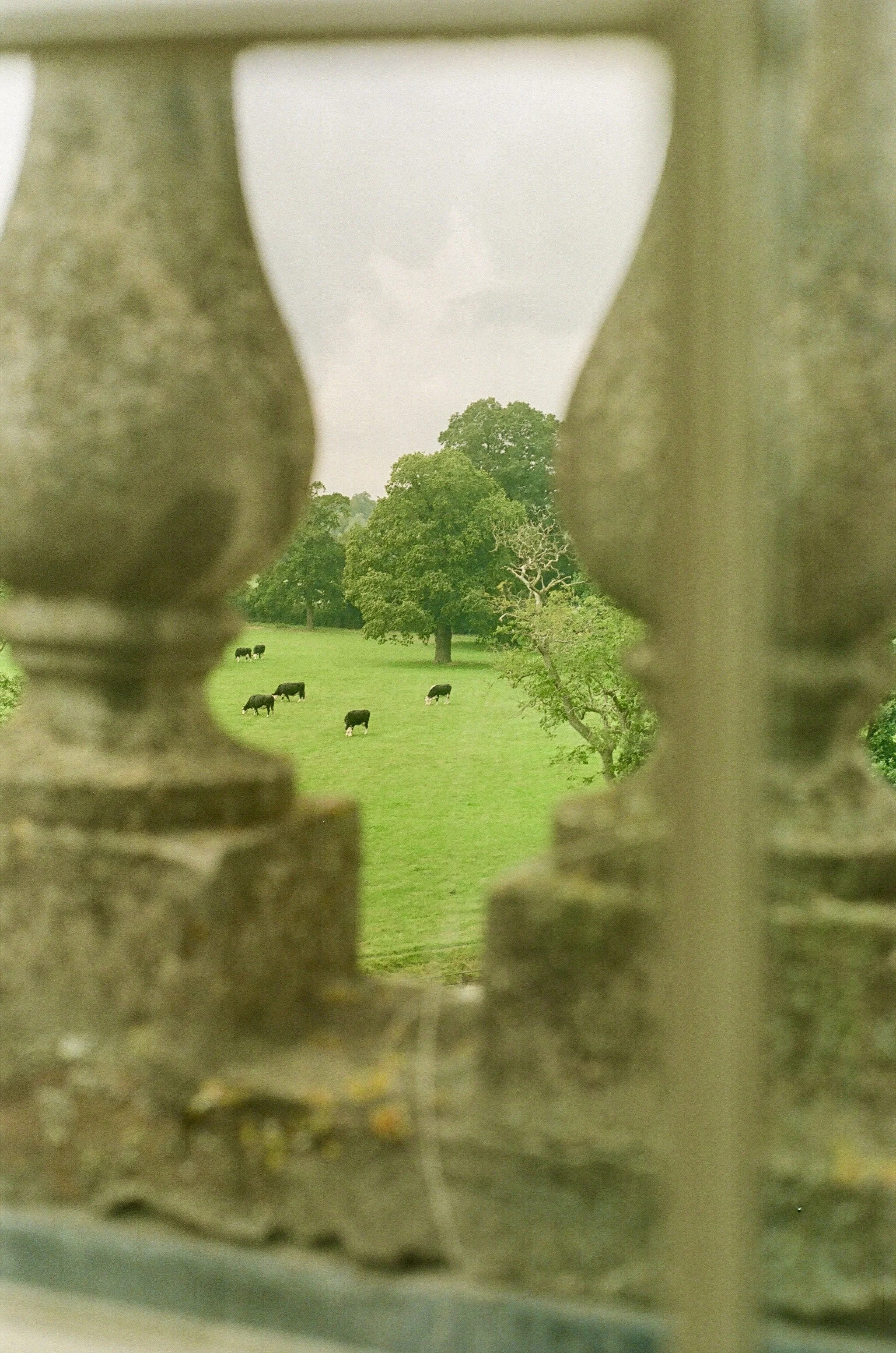 View of a green pasture with cows, framed through a stone balustrade with trees in the background.