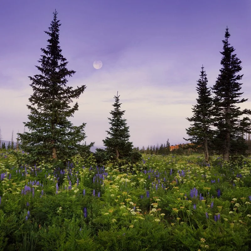 Utah mountain landscape — Patton Peak Insurance health insurance broker testimonials