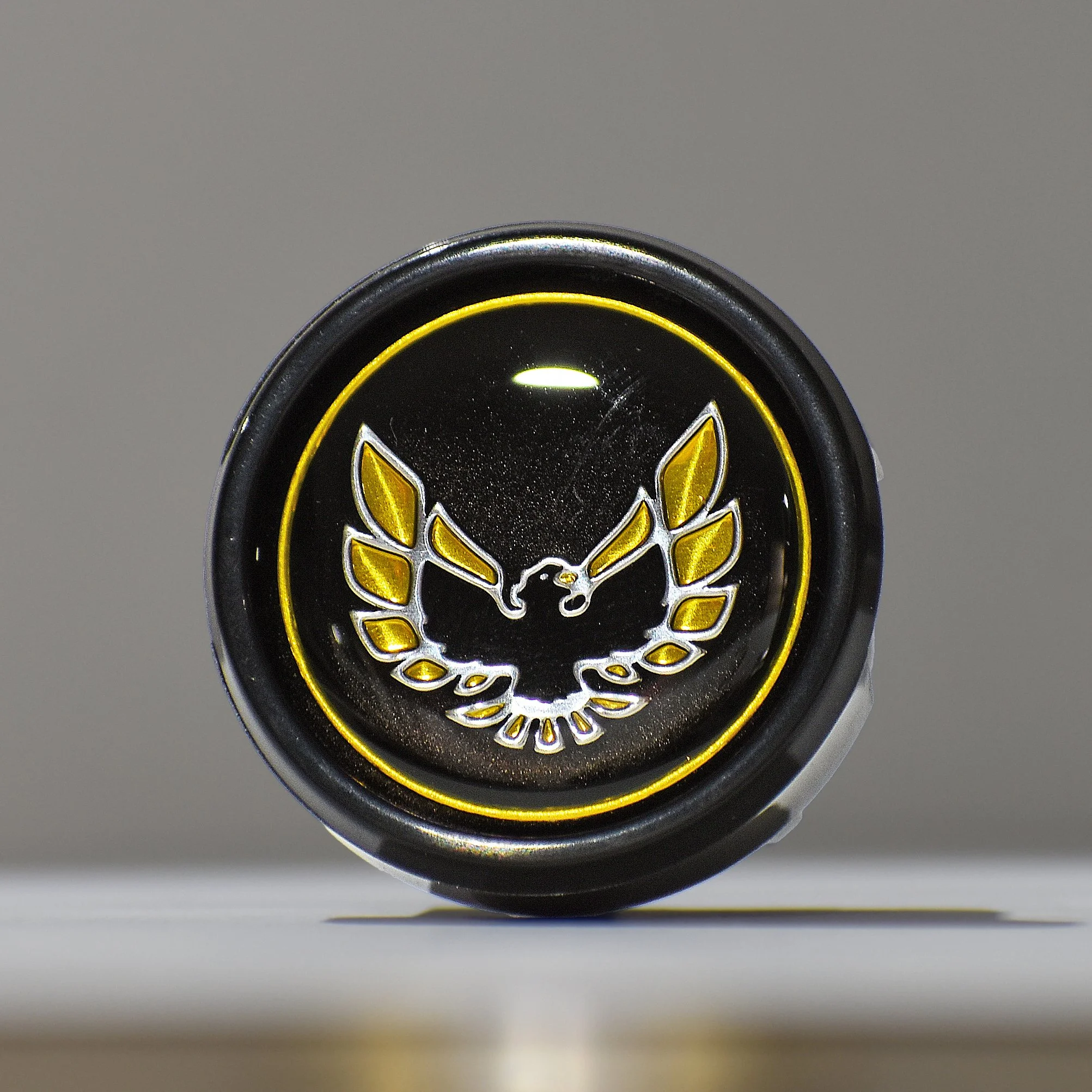 70-81 Firebird button reproduction.jpg