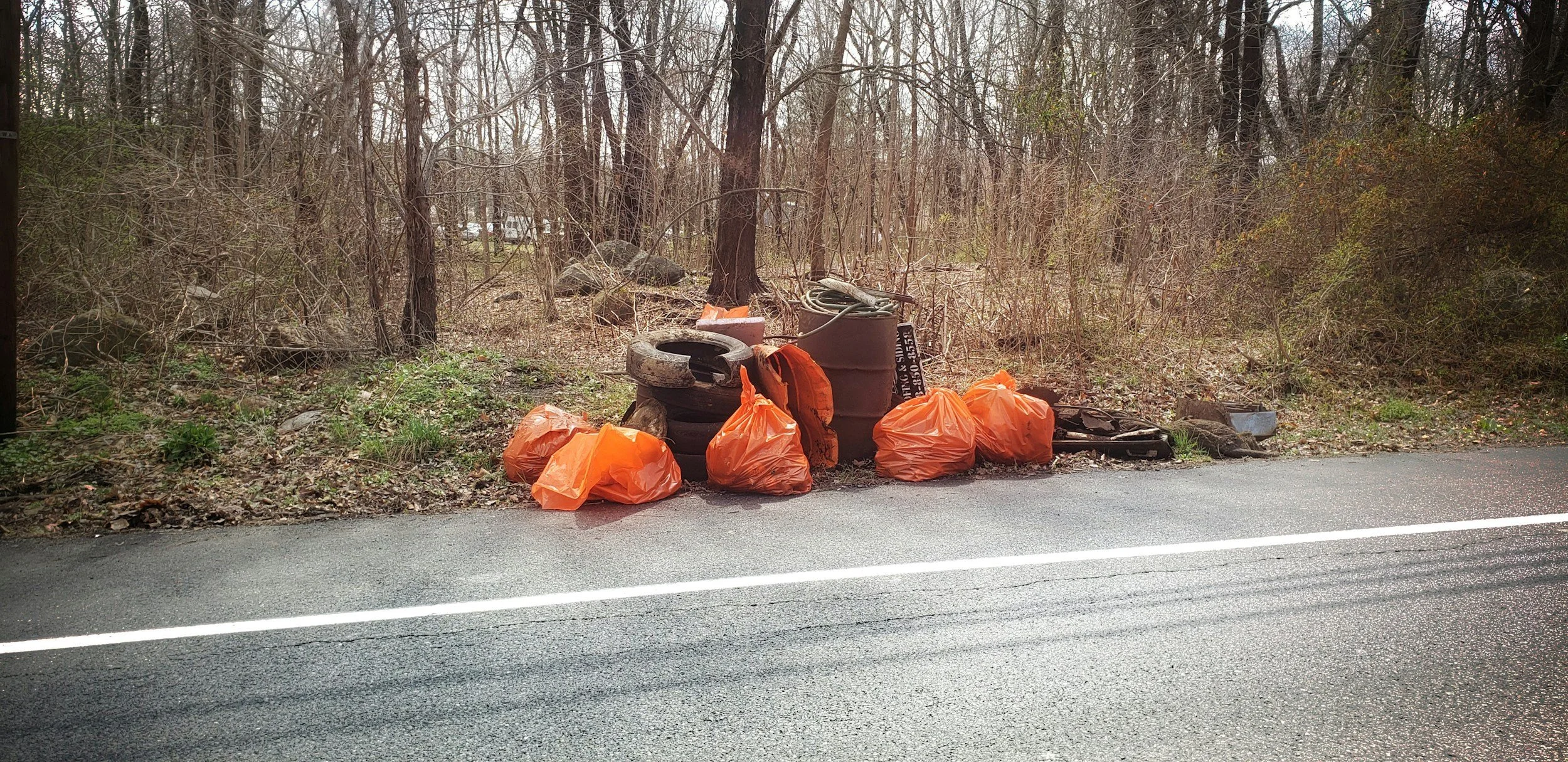 Trash bags, tires, barrels, and other debris discarded on the side of a forested road.