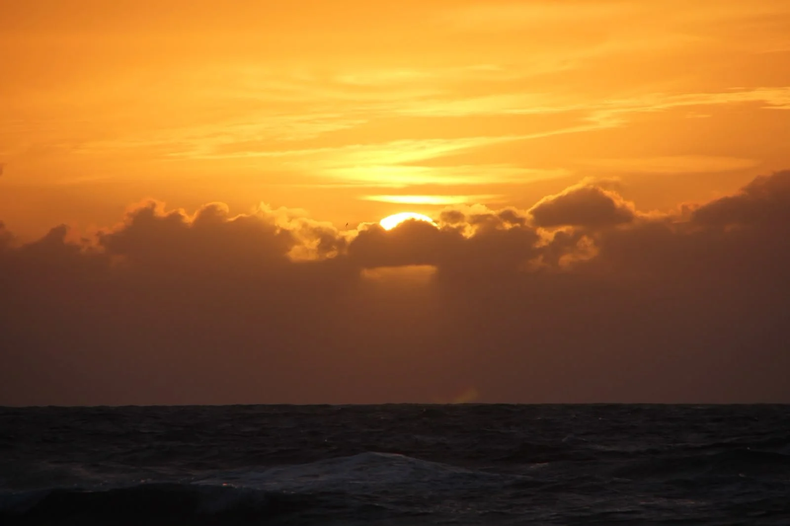 The Longest Night - Sun into Cancer &amp; the June Solstice 2026
