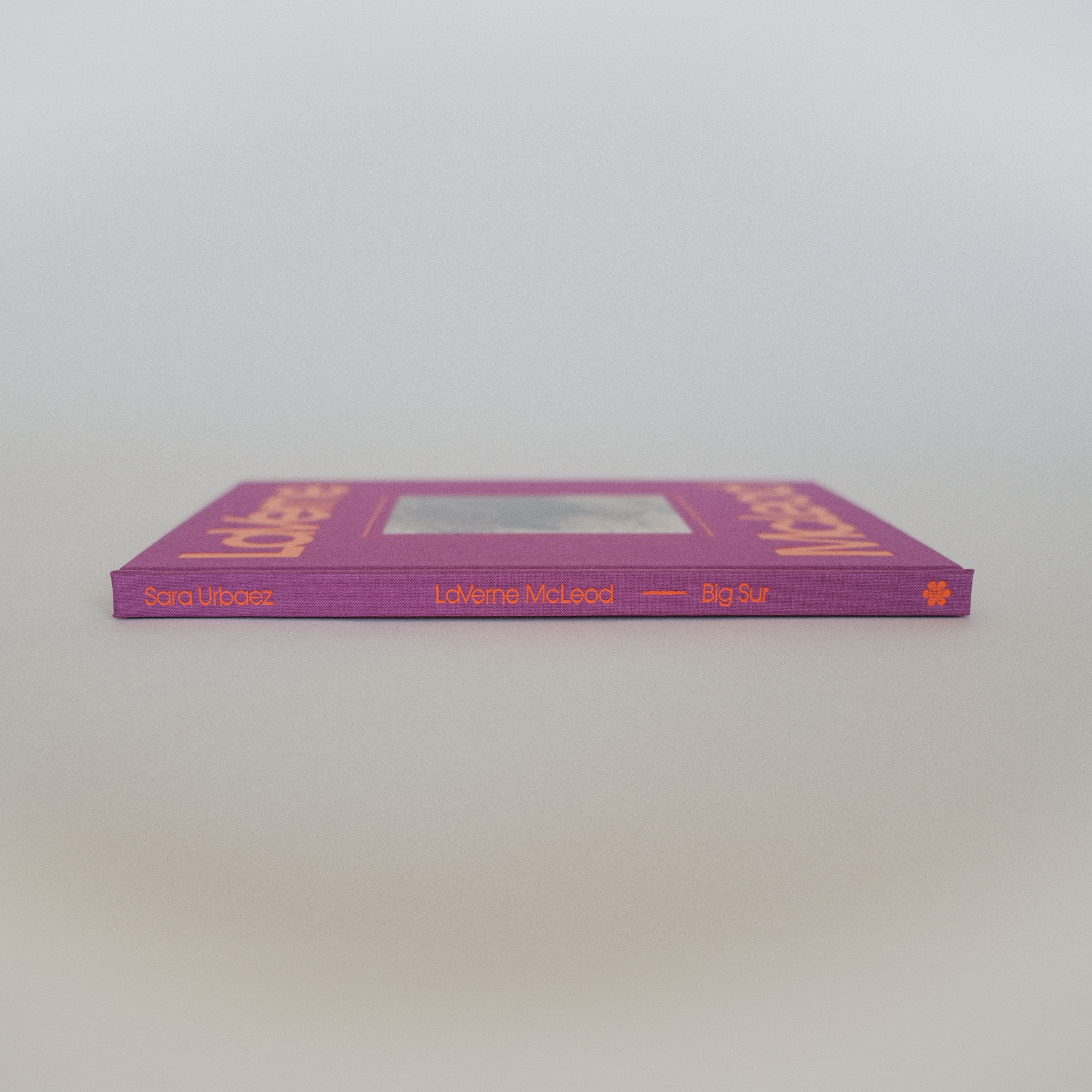_DSF0507.png (Copy)