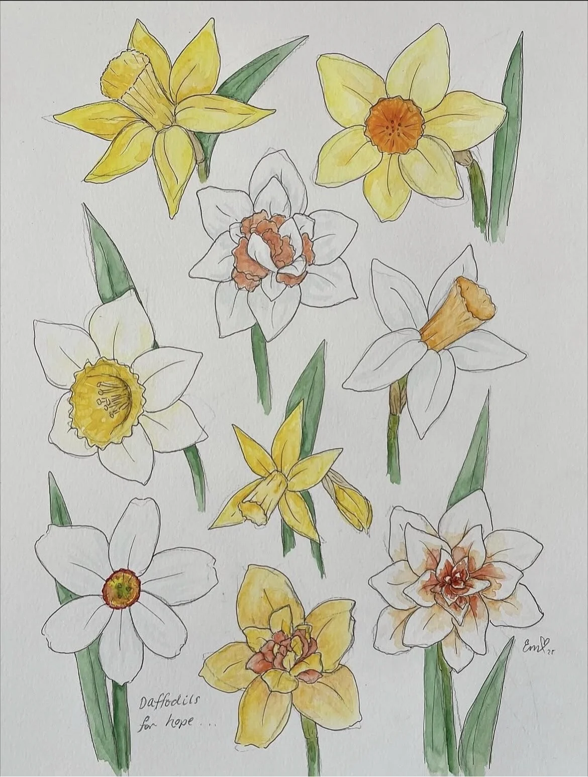 daffodils.jpg