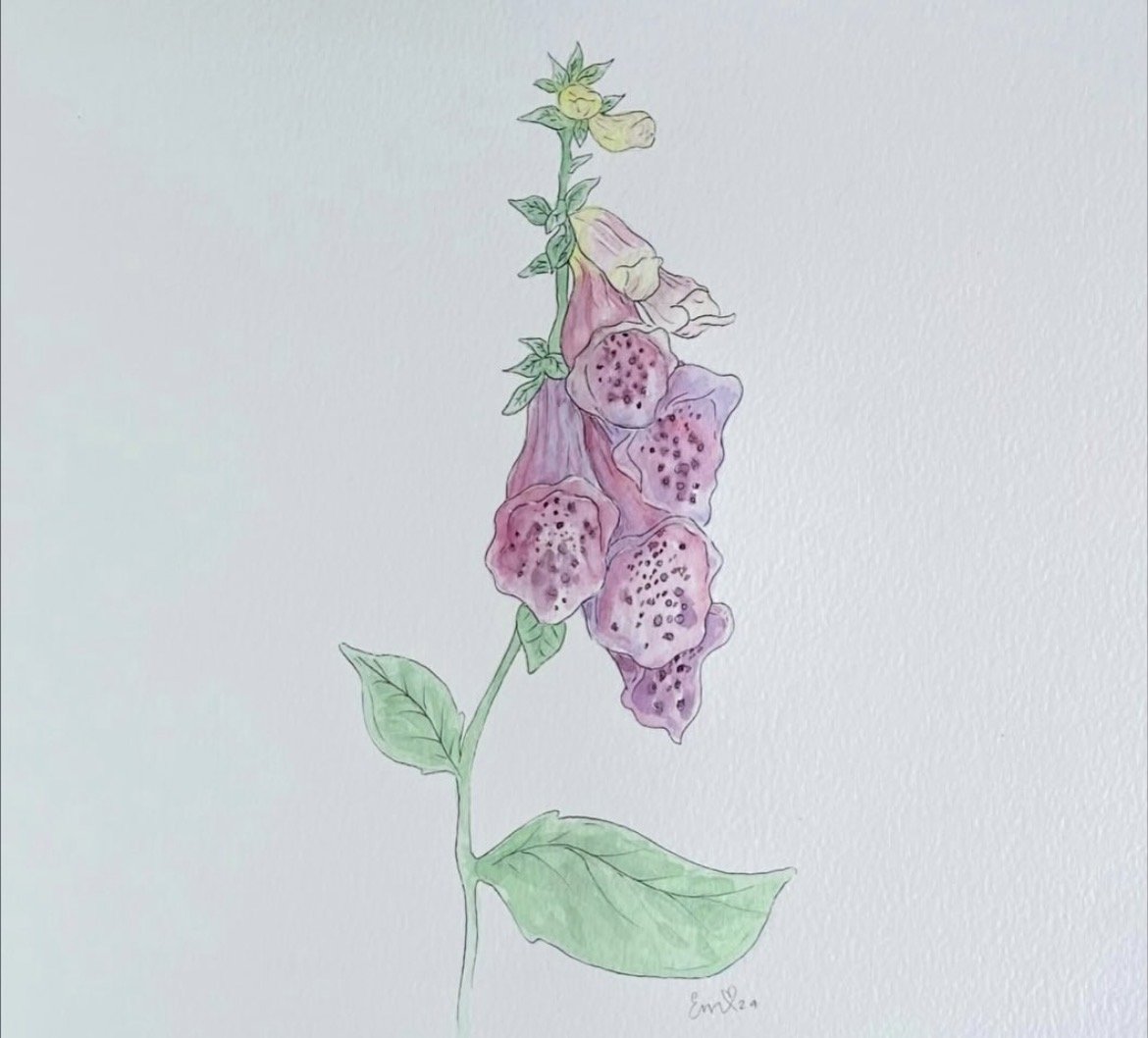 foxglove.jpg