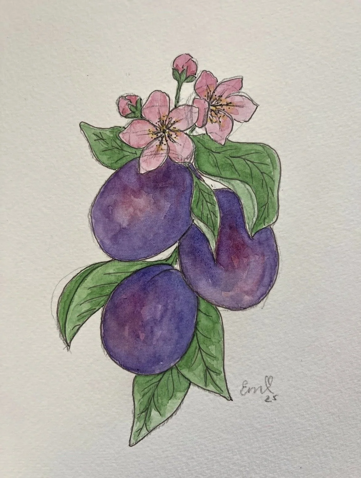 Plums.jpg