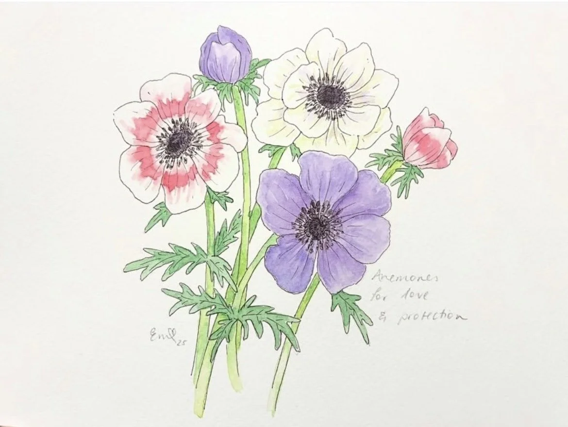 anemone.jpg