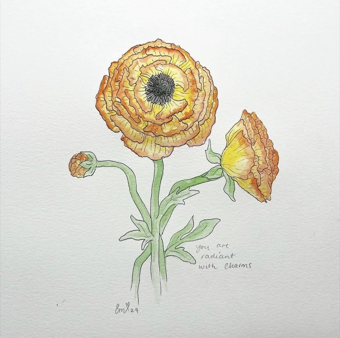 ranunculus.jpg