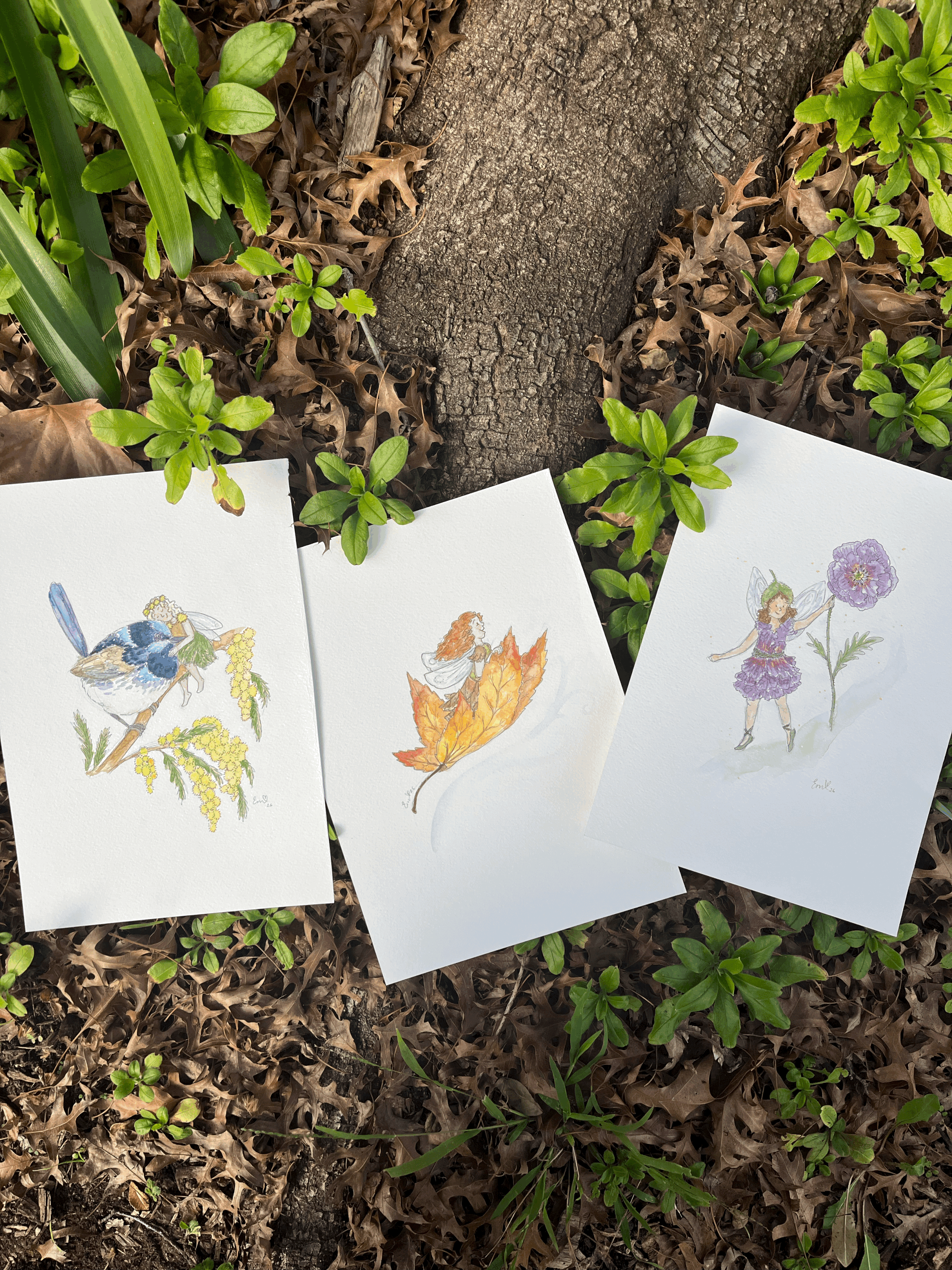 Fairy Collection