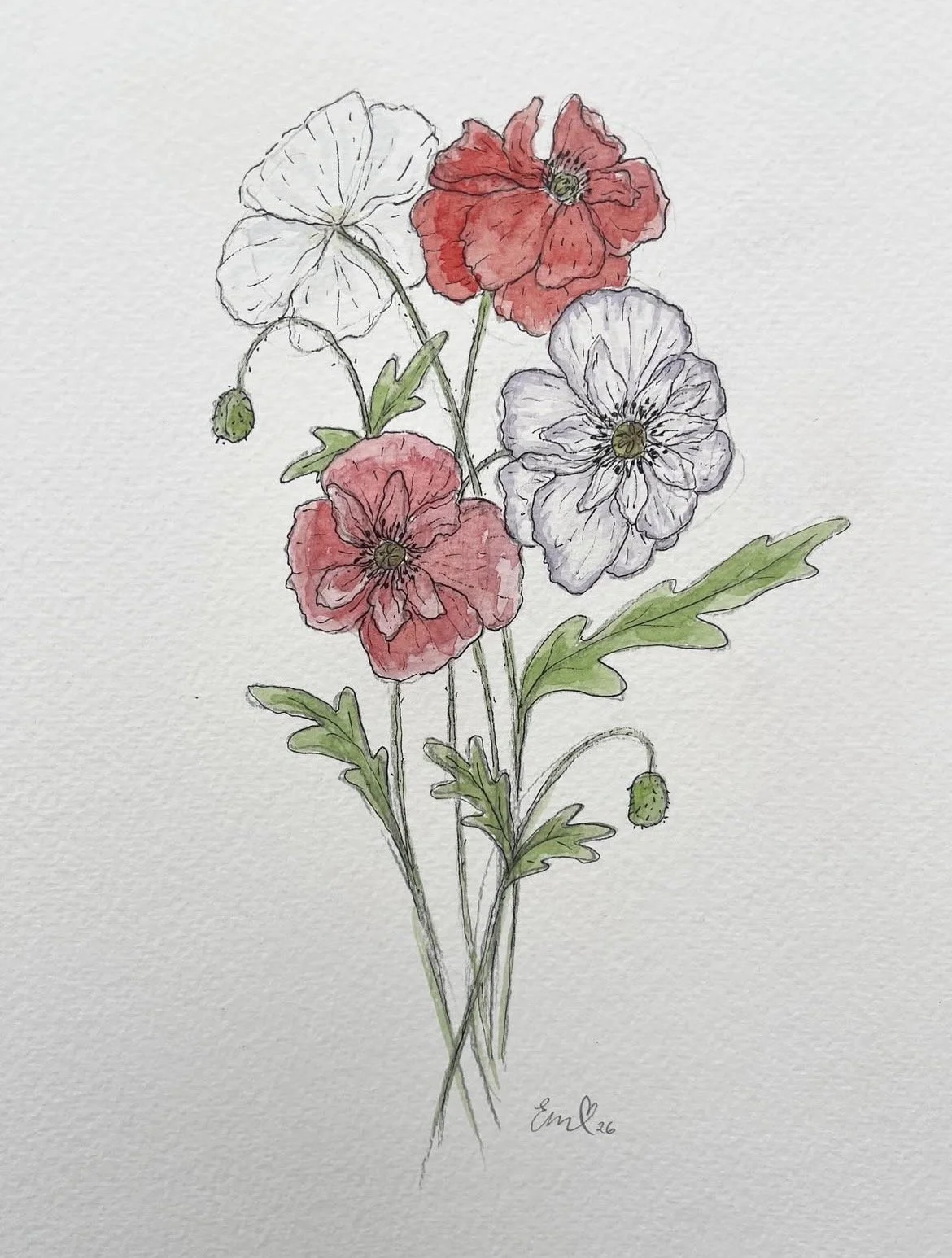 Fairypoppies.jpg