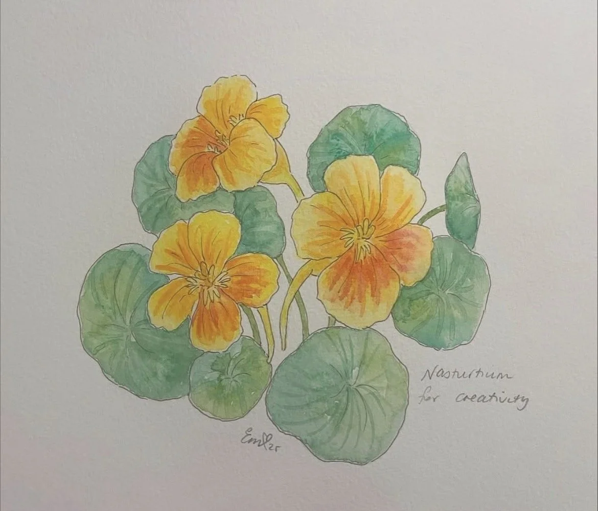 nasturtium.jpg