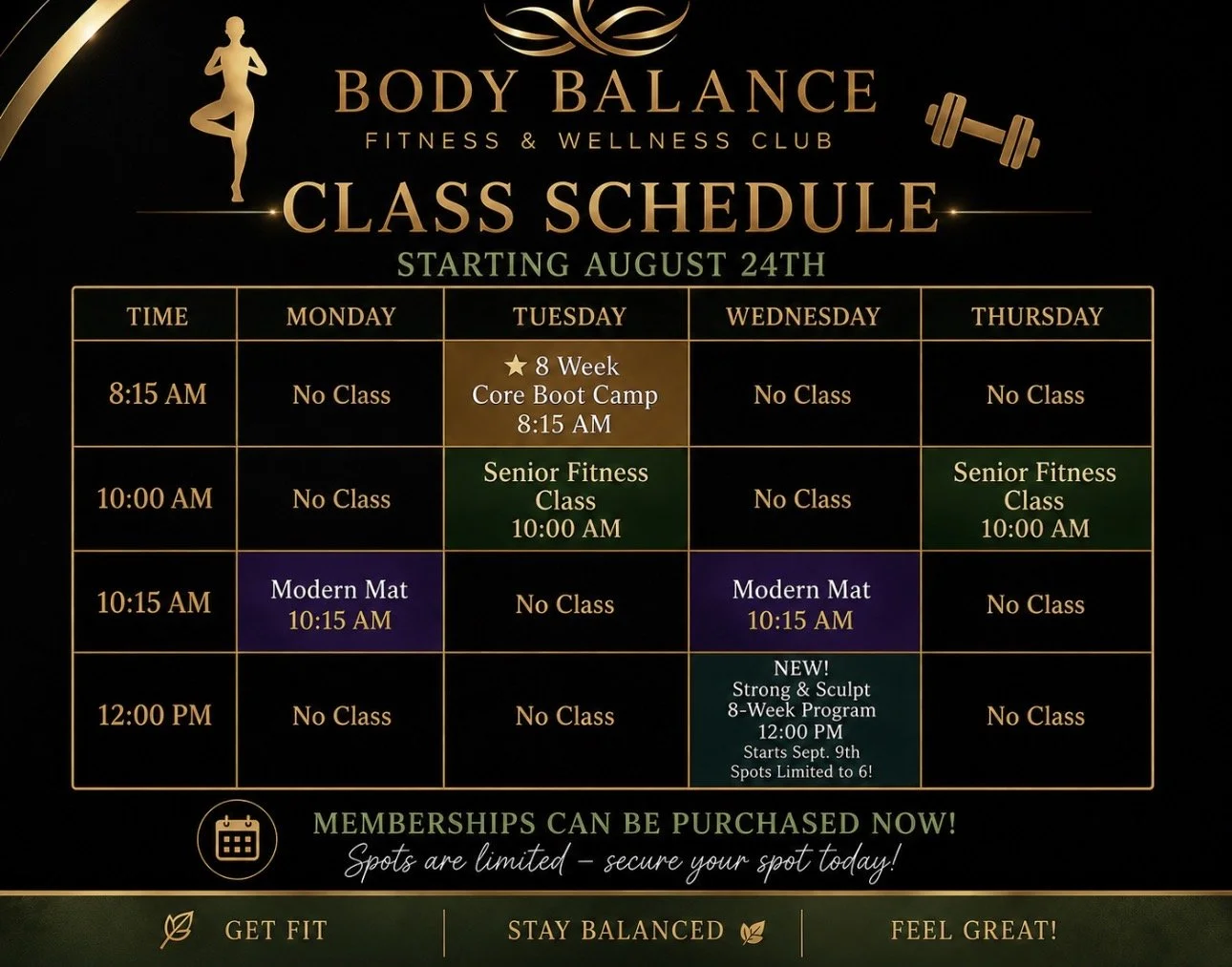 Class schedule poster for Body Balance Fitness & Wellness Club starting August 24th, showing class times and days, with notes about memberships and programs.