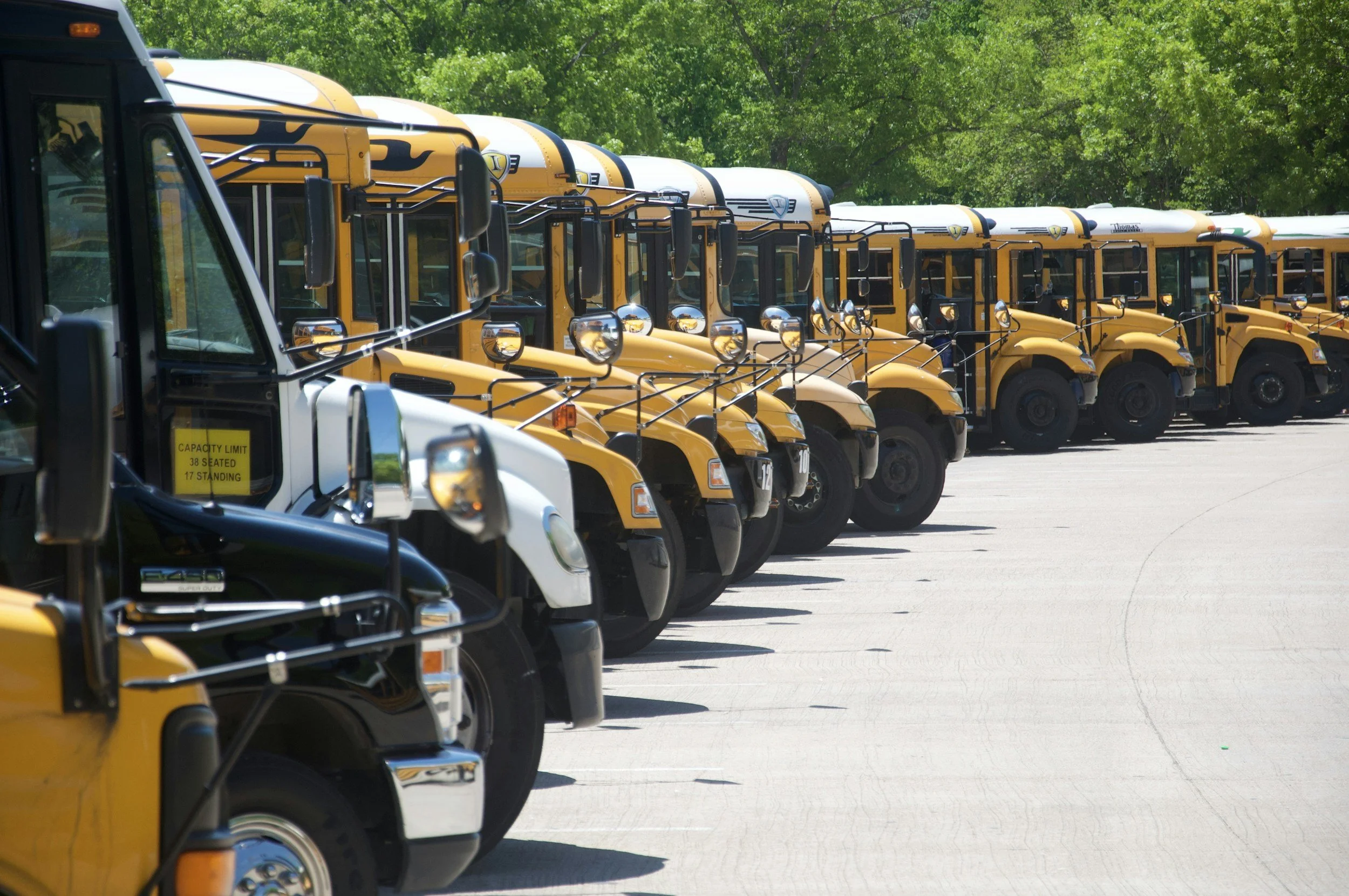 Row of yellow school buses parked outdoors with trees in the background.
