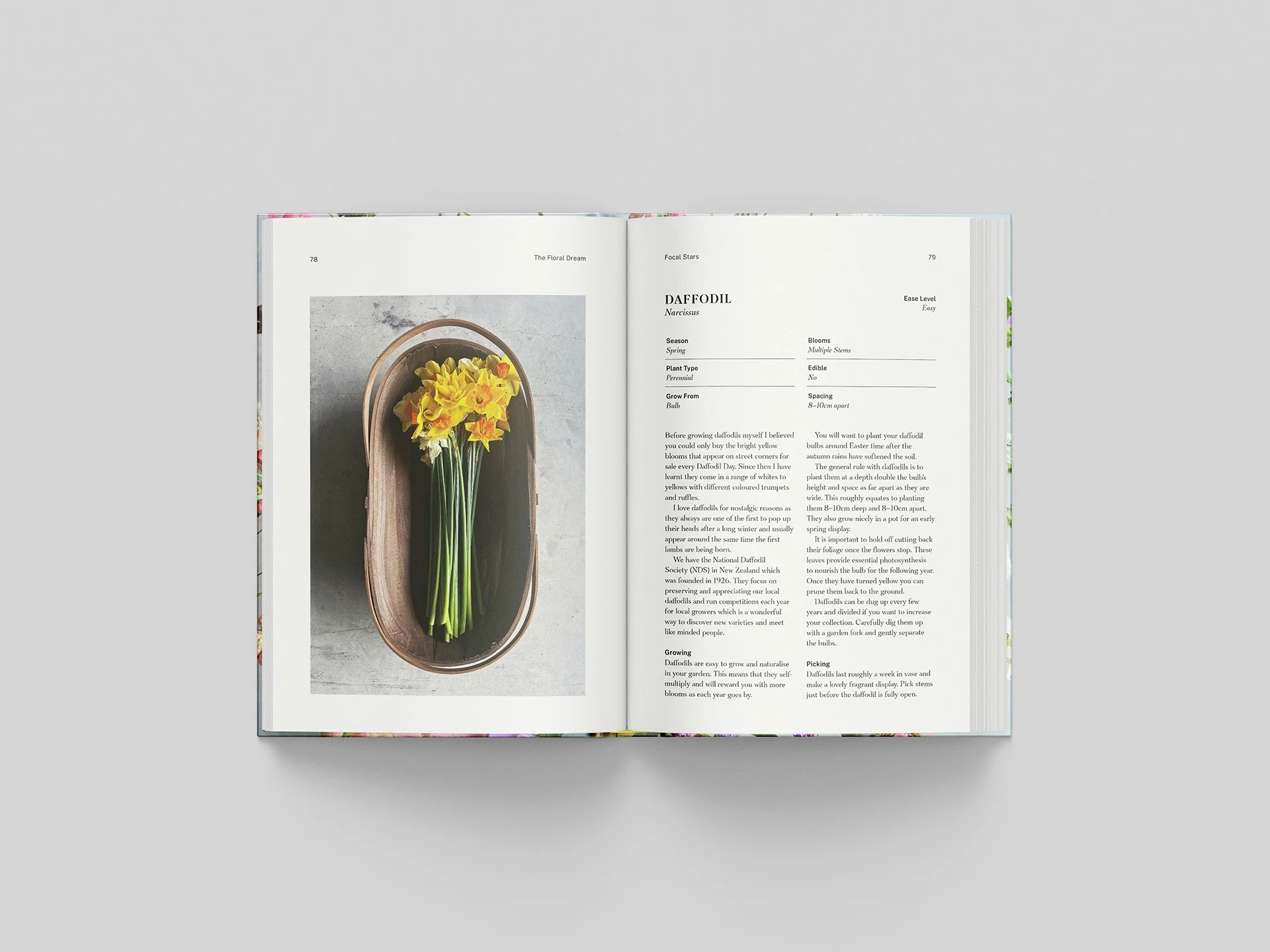 Open book with text and a photograph of yellow daffodil flowers arranged in a brown oval basket on the left page.