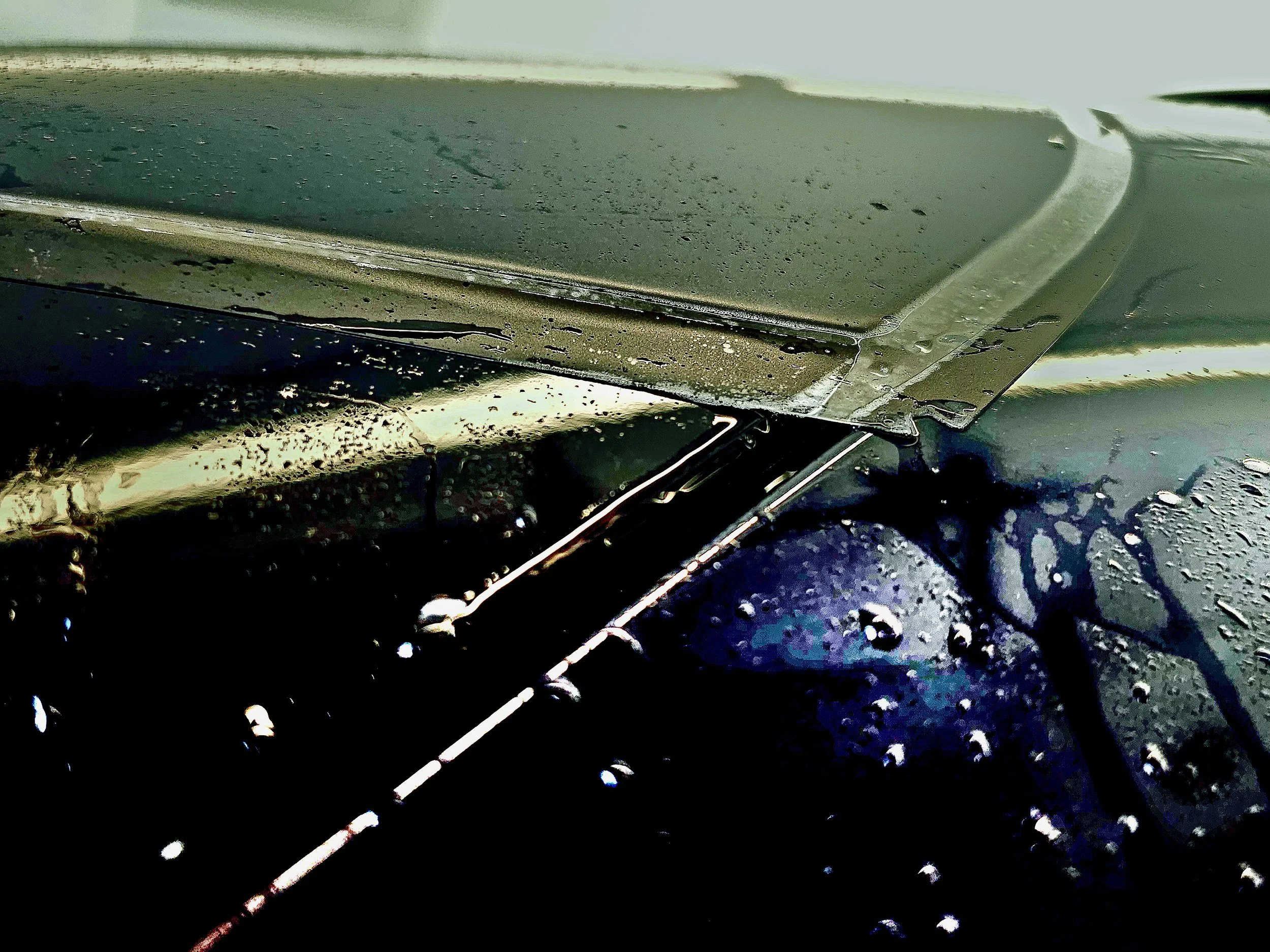 Close-up of a car's hood with water droplets on its surface.