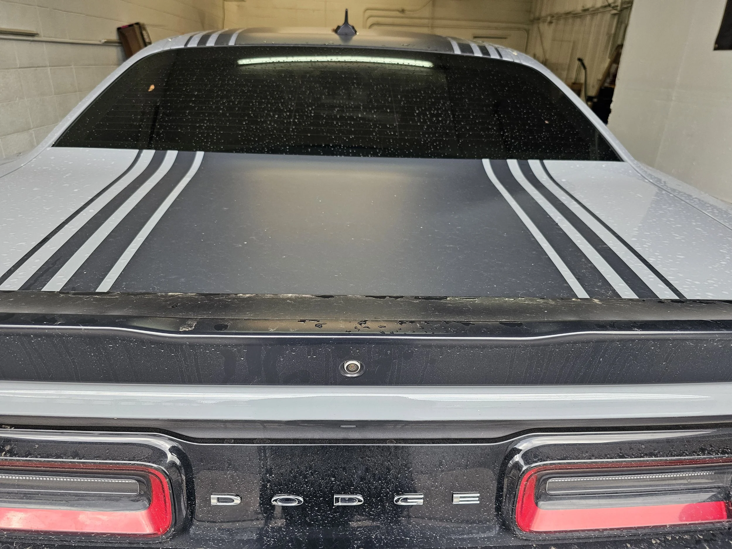 The rear view of a black Dodge vehicle with water droplets on the surface and taillights visible.
